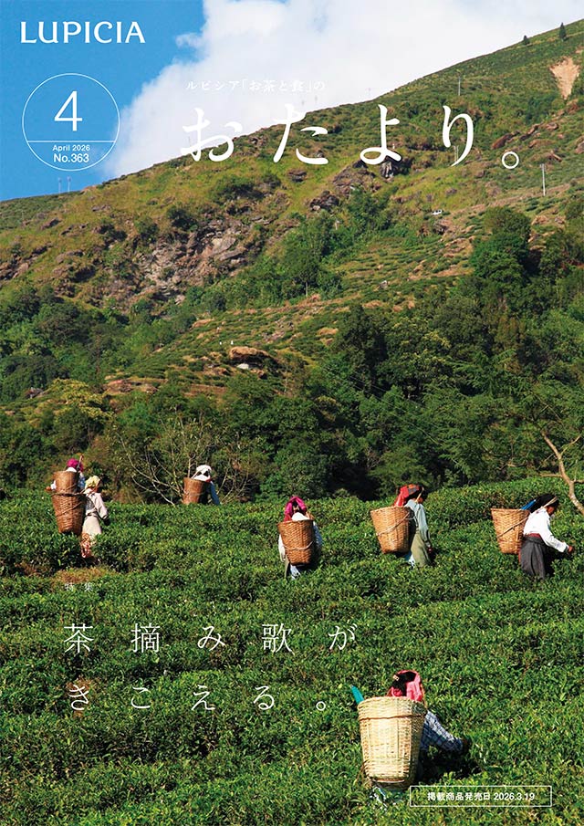 �������B4����