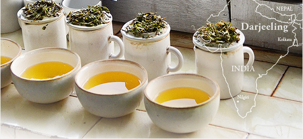 �_�[�W���� �t�@�[�X�g�t���b�V��