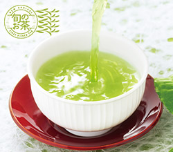 日本茶の旬、真っ盛り!