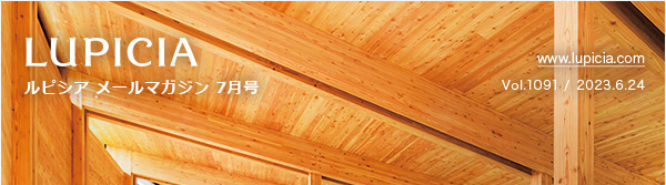 sVA [}KW 7 Vol.1091 / 2023.6.24