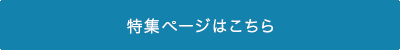 Wy[W͂