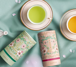 �v���~�A���ȍ��̂���